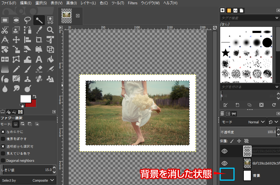 GIMP(日本語)使い方 - 写真に白い枠を付けておしゃれにする方法